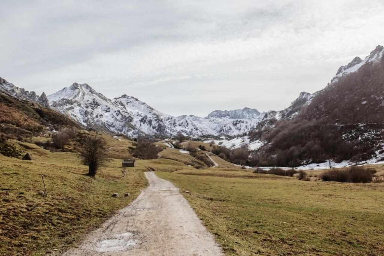 Apartamentos Rurales La Laguna Somiedo Valle de Lago Eksteriør bilde