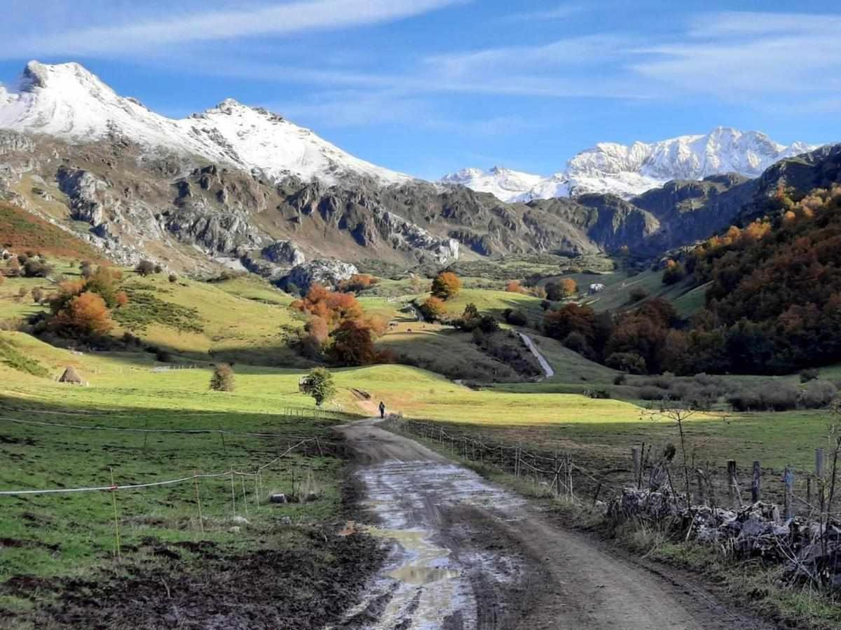 Apartamentos Rurales La Laguna Somiedo Valle de Lago Eksteriør bilde